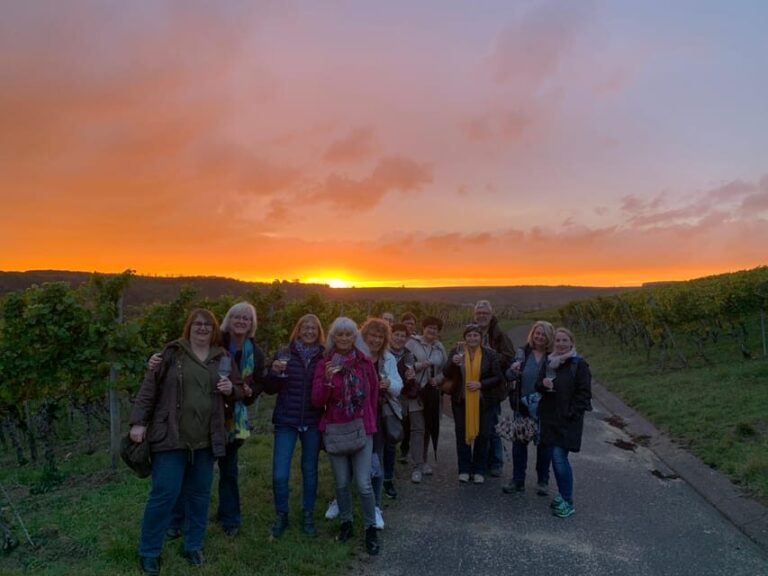 Volkach/Fahr: Wine Spirit Rebellion wine hike - Who Will Love This Tour?