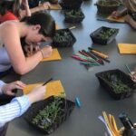 Volterra: Family-Friendly Herbal Laboratory Workshop - A Genuine Look at the Herbal Laboratory Workshop in Tuscany