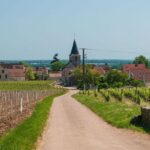 Vosne-Romanée: Private Vineyards Walking Tour with Tasting - Who Should Consider This Tour?