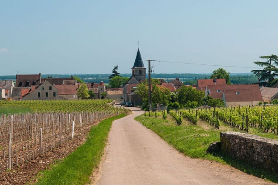 Vosne-Romanée: Private Vineyards Walking Tour with Tasting - Who Should Consider This Tour?