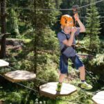 Voss High Rope Course: Mini & Micro Course - The Details: Why This Adventure Works