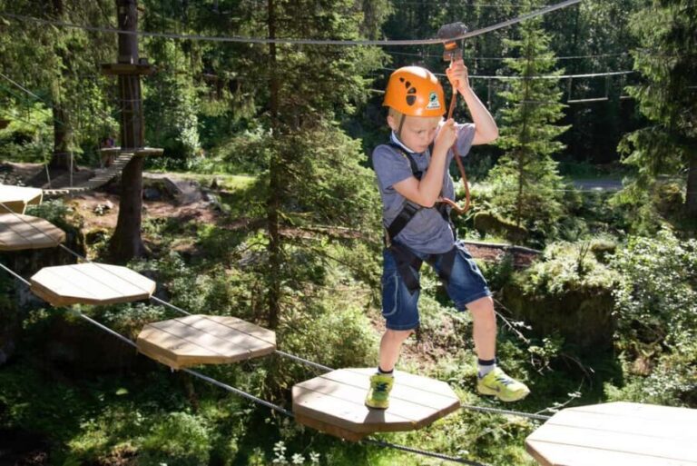 Voss High Rope Course: Mini & Micro Course - The Details: Why This Adventure Works