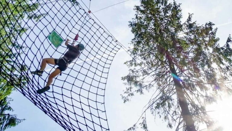 Voss High Rope & Zipline Park - Who Should Consider This Adventure?