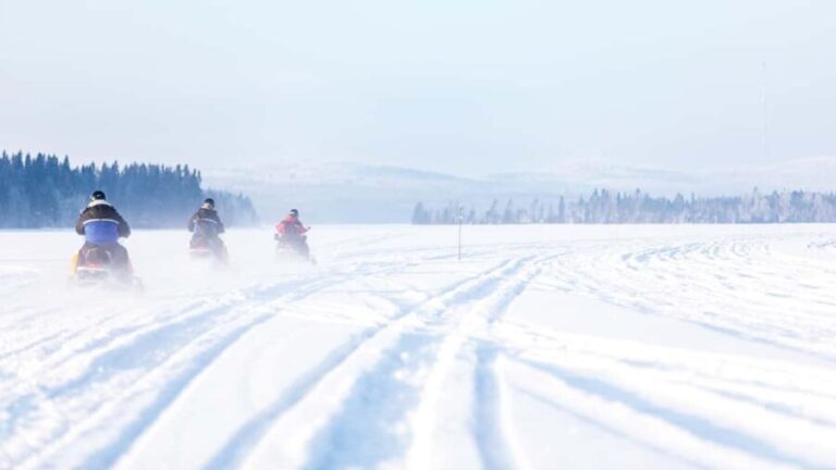 Vuokatti: Snowmobile Safari with Lunch at Haapala BnB - Why Choose This Tour?