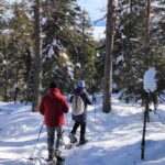 Vuokatti: Snowshoeing Adventure in the Forest - The Practicalities: Planning Your Snowshoe Adventure