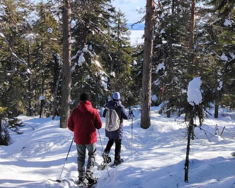 Vuokatti: Snowshoeing Adventure in the Forest