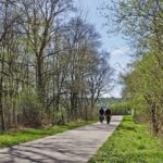Wachau e-bike tour (Krems to Melk) incl. KTM rental bike - A Detailed Look at the Itinerary and Experience