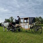 Wachau porcelain carriage A sparkling carriage ride through the vineyards - Why We Think This Is Worth the Price