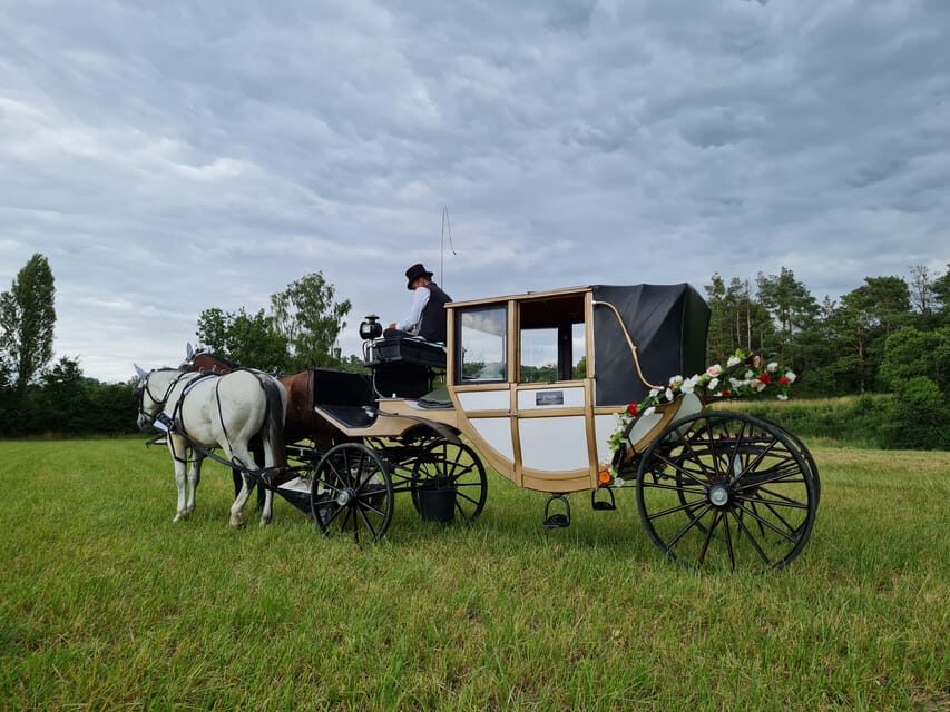 Wachau porcelain carriage A sparkling carriage ride through the vineyards - Why We Think This Is Worth the Price