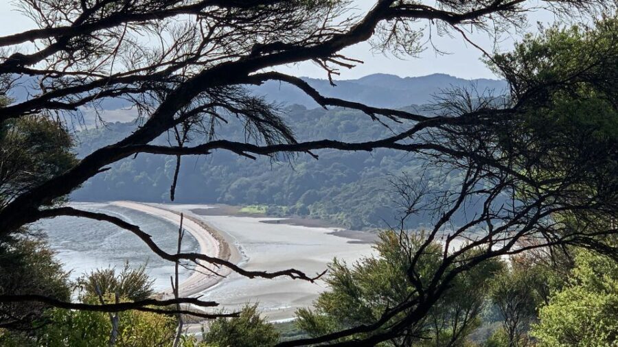 Waiheke Island: 5-Day Self-Guided Te Ara Hura Walk - The Sum Up