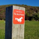 Waiheke Island 5 Day Self Guided Walking Adventure - Why This Experience Offers Value
