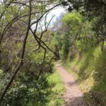 Waiheke Island Double Headland Coastal Walk - Who Will Love This Tour?