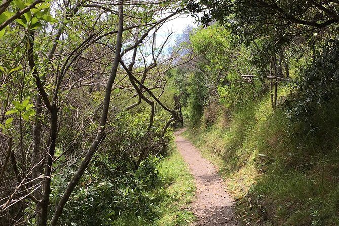 Waiheke Island Double Headland Coastal Walk - Who Will Love This Tour?