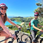 Waiheke Island: Electric Bike Rental - Who Should Consider This Tour?