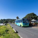 Waiheke Island: Ferry & Hop-On Hop-Off Explorer Bus Tickets - Final Thoughts: Who Will Love This Tour?