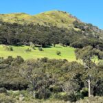 Waiheke Island: Full Day Guided History and Heritage Tour - An In-Depth Look at the Waiheke Cultural Heritage Tour