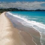 Waiheke Island Gourmet Food and Wine Tour with Platter Lunch - The Itinerary Breakdown