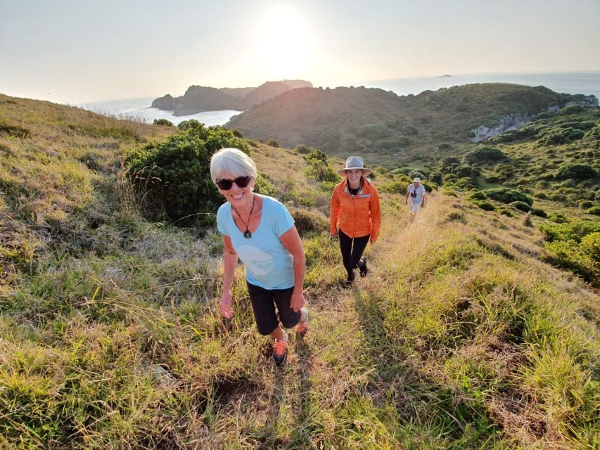 Waiheke Island: Gulf Marine Park Sailing Adventure & Lunch - Why This Tour Offers Great Value