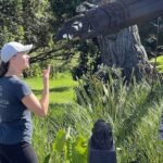 Waiheke Island History and Heritage Tour - Who Will Love This Tour?