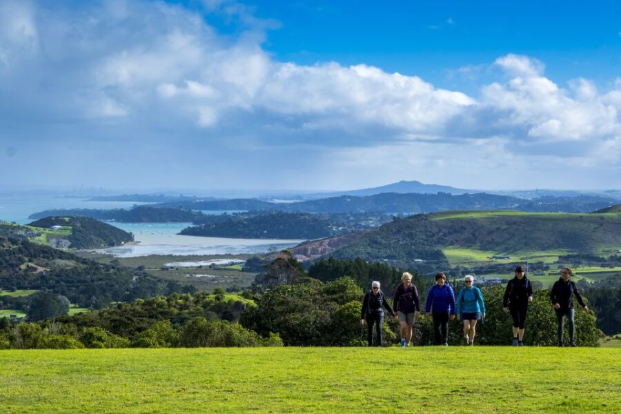 Waiheke Island: Premium Vineyard, Wine Tasting and Bush Walk - The Nature Walk: A Window Into Waiheke’s Ecology