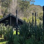 Waiheke Island Private History and Heritage Tour - In-Depth Look at the Itinerary and Highlights