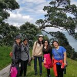 Waiheke Island: Private Personalized Walk - Why Choose This Tour?