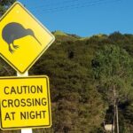 Waiheke Island Private Tours - Why This Tour Works for You