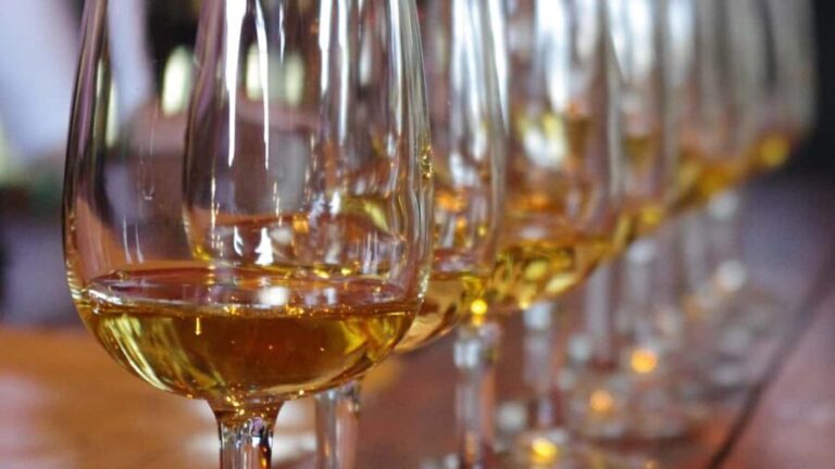 Waiheke Island: Scenic PREMIUM Wine Tour. Max 11 clients - Final Thoughts