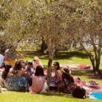 Waiheke Island Scenic Wine Tour with Gourmet Beachfront Lunch - Who Should Consider This Tour?