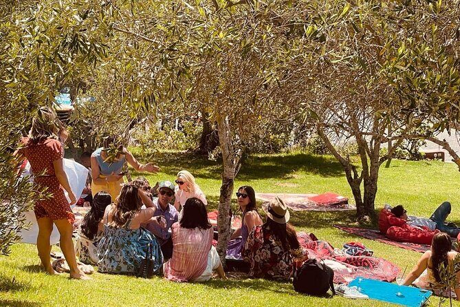 Waiheke Island Scenic Wine Tour with Gourmet Beachfront Lunch - Who Should Consider This Tour?