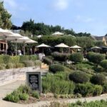 Waiheke Island Vineyards and Bush Walk - Frequently Asked Questions