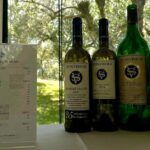 Waiheke island wine tours with Waitiki Tours - FAQs