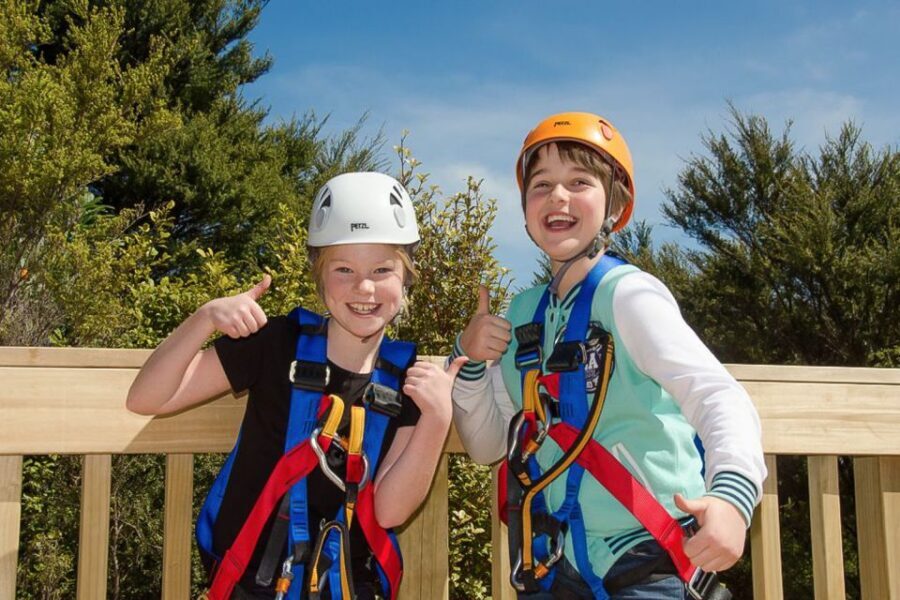 Waiheke Island: Zipline and Native Forest Adventure Trip - In Summary