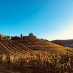 Waiheke: Scenic Taste and Graze Tour with Wine, Whisky, Beer - FAQs