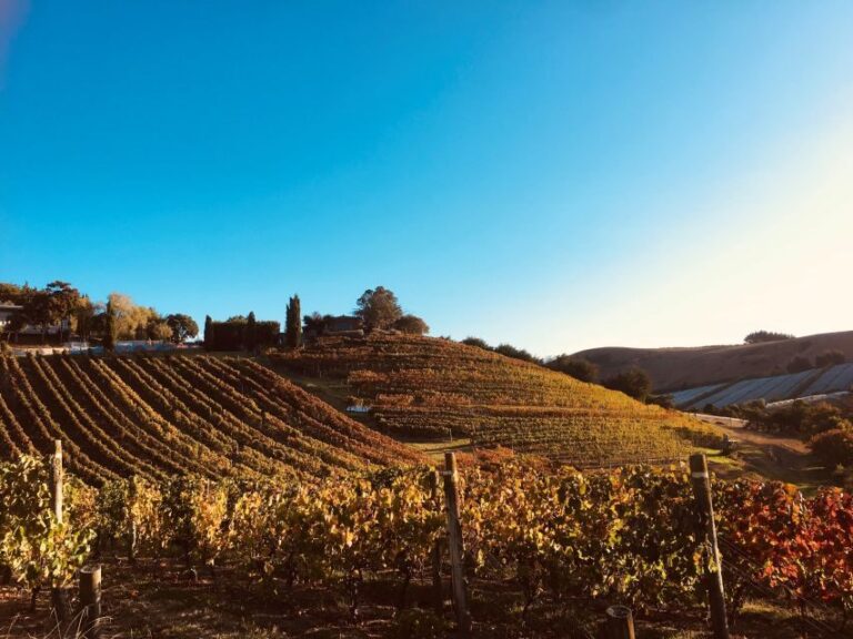 Waiheke: Scenic Taste and Graze Tour with Wine, Whisky, Beer - FAQs