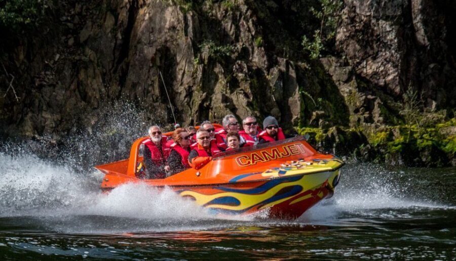 Waikato River: 1-Hour Ecological River Cruise - An In-Depth Review of the Waikato River Ecological Cruise