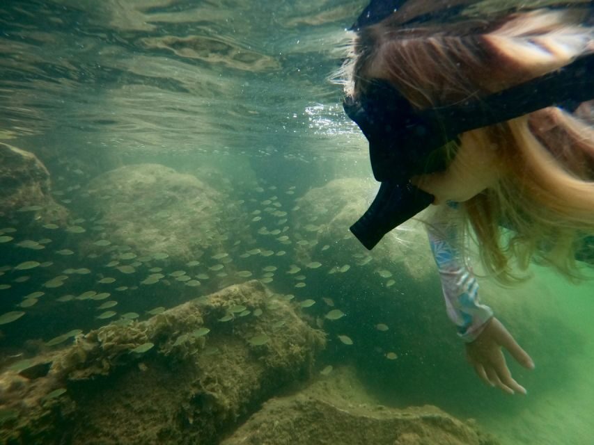 Waikiki: Honolulu Beginner Snorkeling Tour with Videos - The Itinerary in Detail