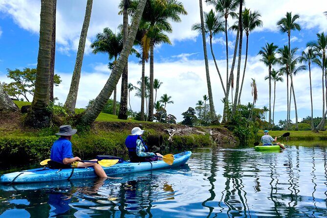 Wailoa River to King Kamehameha Statue Kayak Adventure - Who Should Consider This Tour?