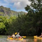 Wailua River Paddle - Who Should Book This Tour?