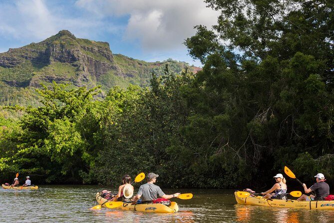 Wailua River Paddle - Who Should Book This Tour?