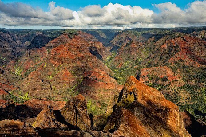 Waimea Canyon Private Tour with Local Guide from Kauai - What Travelers Say