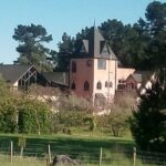 Waipara Wine Experience for 2 or more, inc tastings and lunch - Who Will Love This Tour?