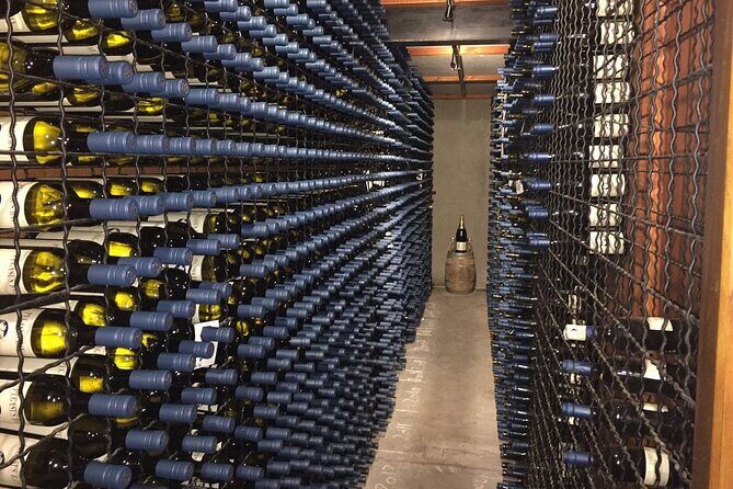 Waipara Wine Trail Tour From Christchurch - The Sum Up: Is This Tour Right for You?