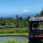 Waipio on Horseback: Mountain Ocean Views Working Cattle Ranch - Why This Tour Offers Real Value