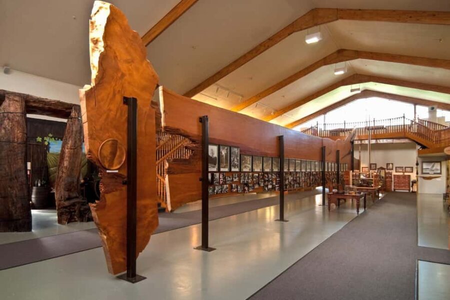 Waipoua KAURI Forest, Tane Mahuta & Museum Tour Ex Auckland - Practical Tips for the Day