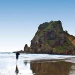 Waitakere Ranges Wilderness Experience Tour from Auckland - Why This Tour Stands Out