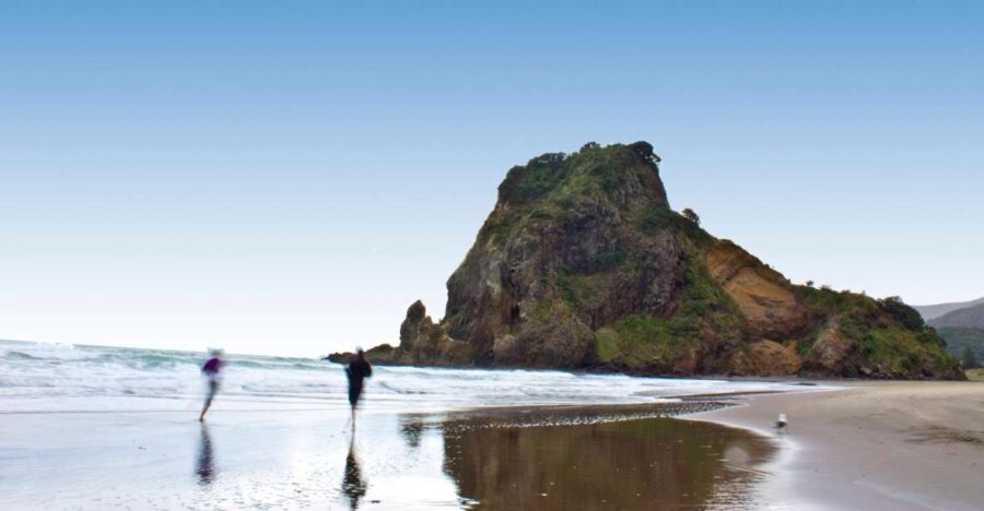 Waitakere Ranges Wilderness Experience Tour from Auckland - Why This Tour Stands Out
