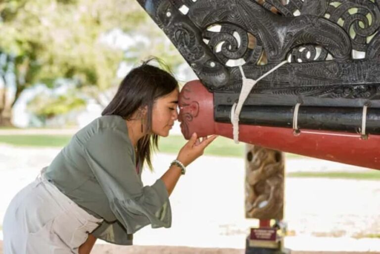 Waitangi Treaty Grounds Guided Tour - What Makes This Tour Stand Out