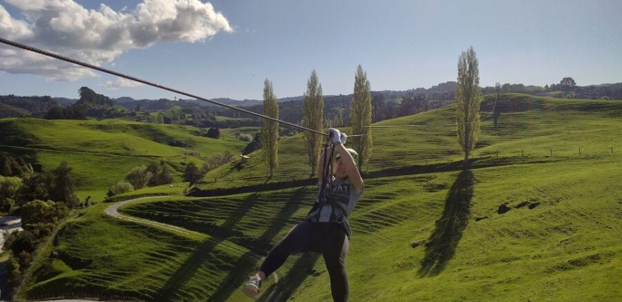 Waitomo Caves 1-Kilometer-Long Zipline Tour - Exploring the Details: What Makes This Zipline Tour Stand Out