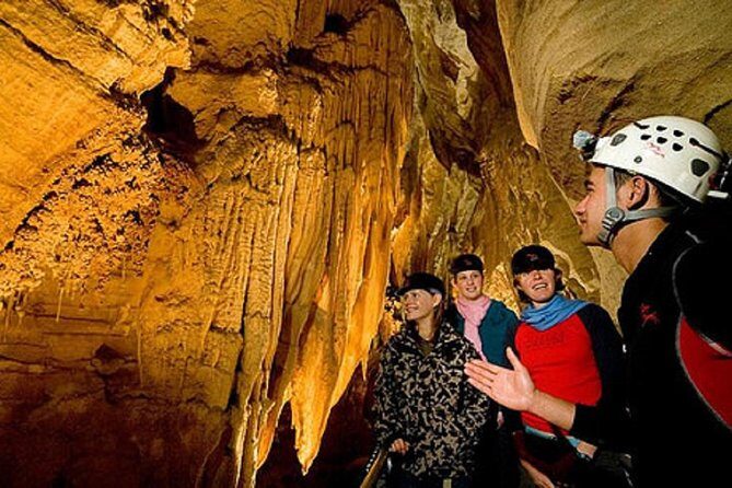Waitomo Caves Private Driver for Tour - Why Choose This Tour?